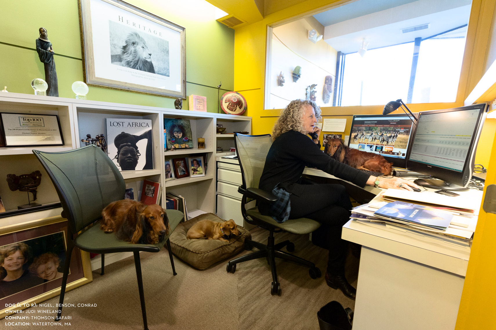 Dogs at work: Judi Wineland surrounded by her dogs at Thomson Safari