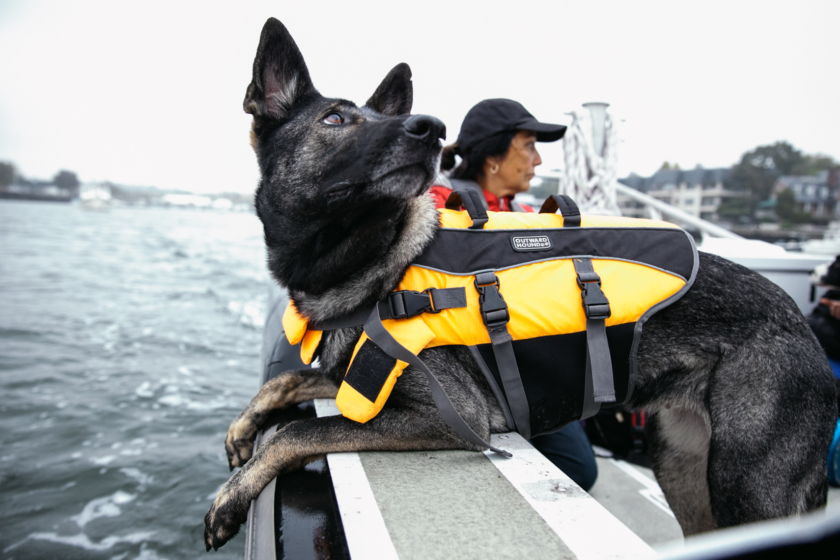 Connecticut_Canine_Search_Resuce_06