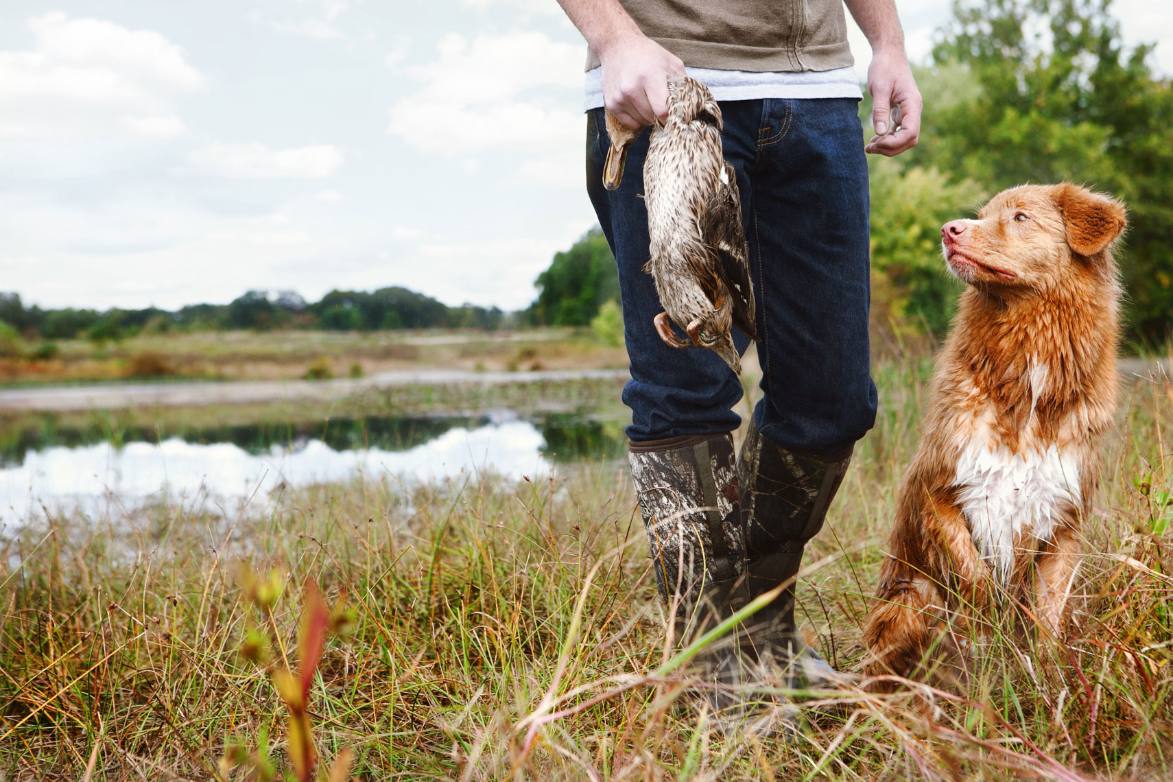 Nova Scotia Duck Tolling Retriever with his owner hunting fowl