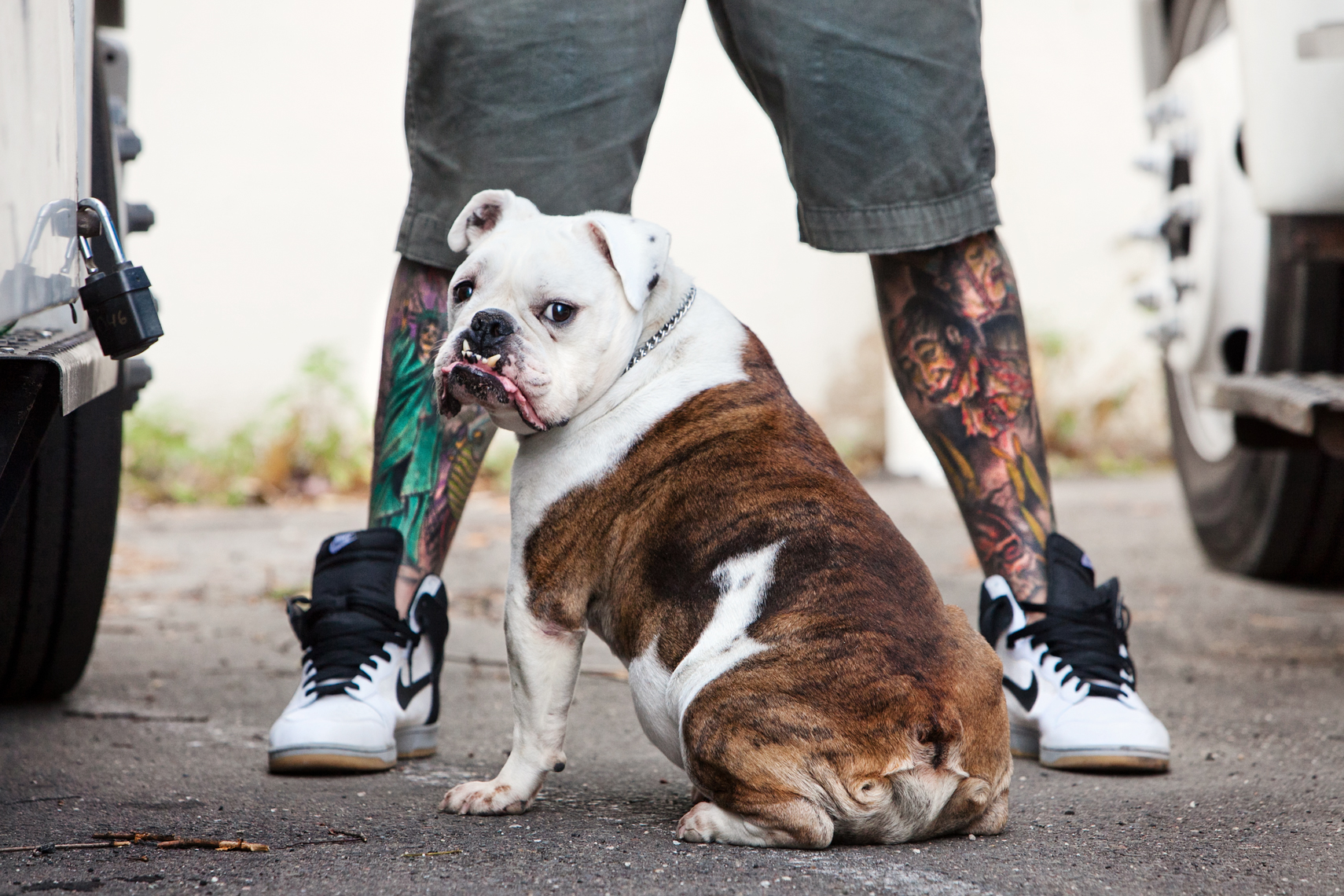 Dogs_with_tattooed_owners_02