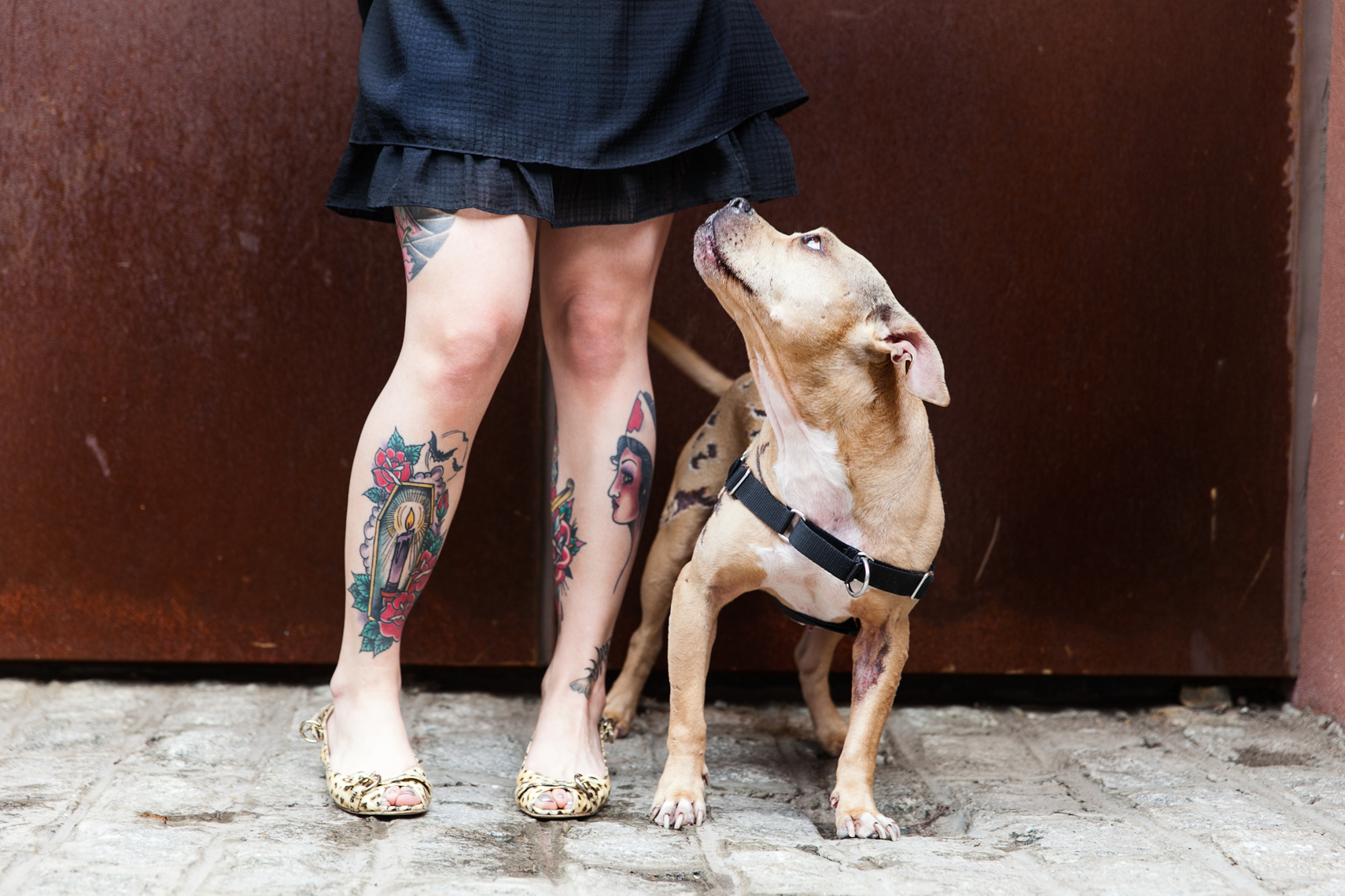 Dogs_with_tattooed_owners_03