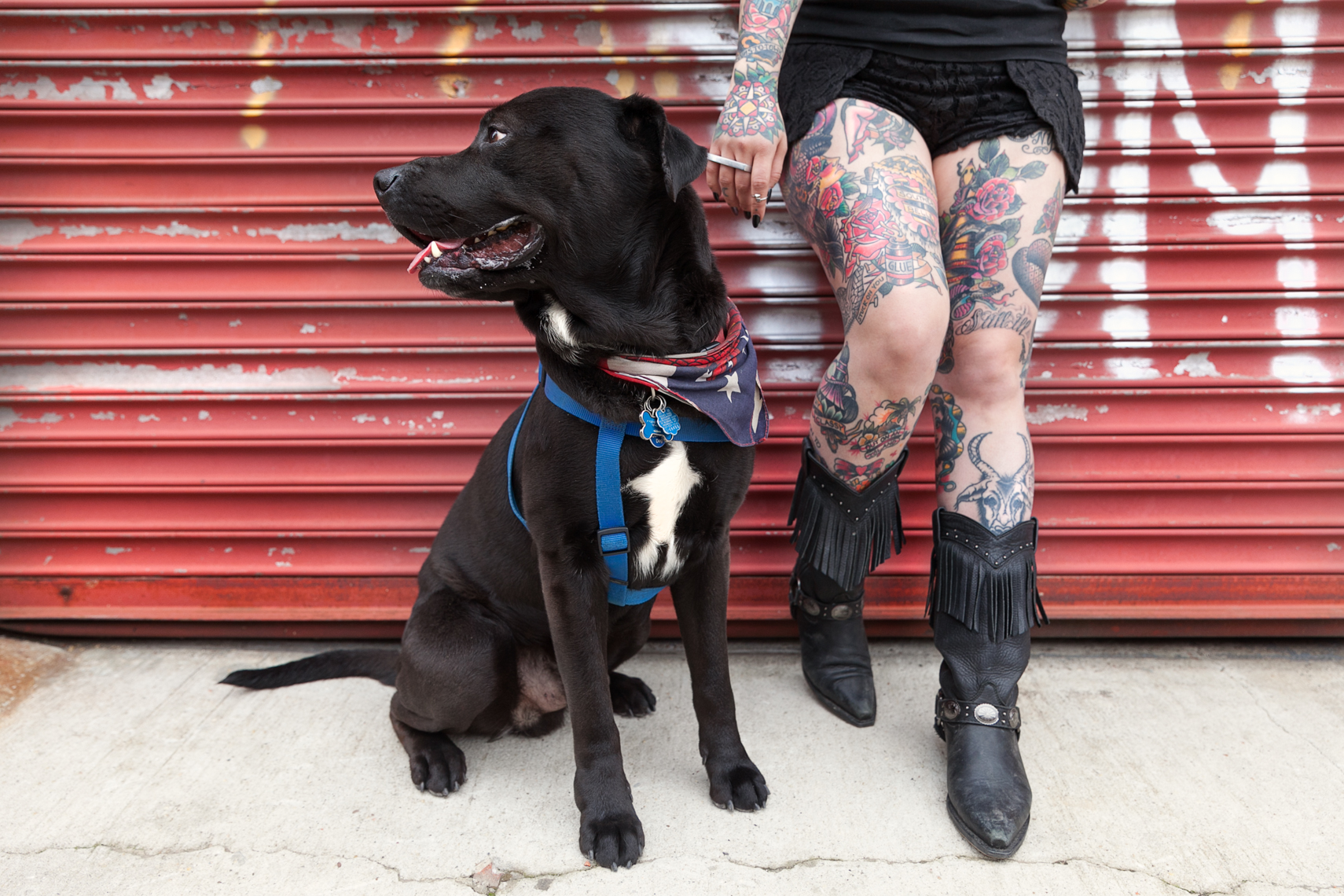Dogs_with_tattooed_owners_14