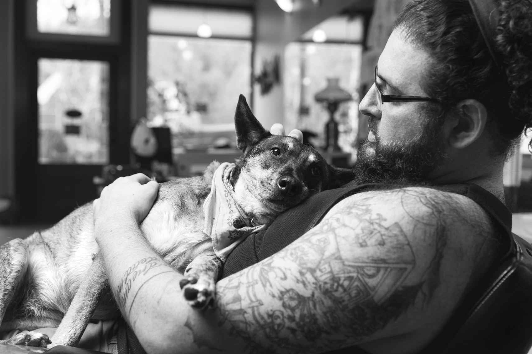 Dogs_with_tattooed_owners_17
