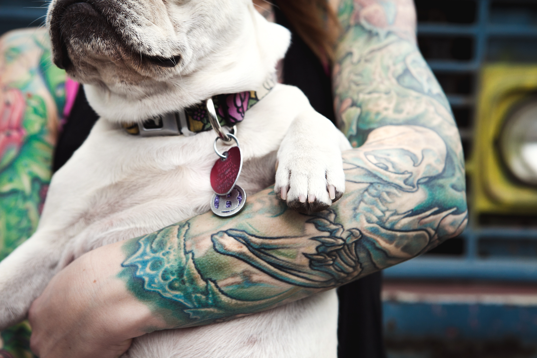 Dogs_with_tattooed_owners_29