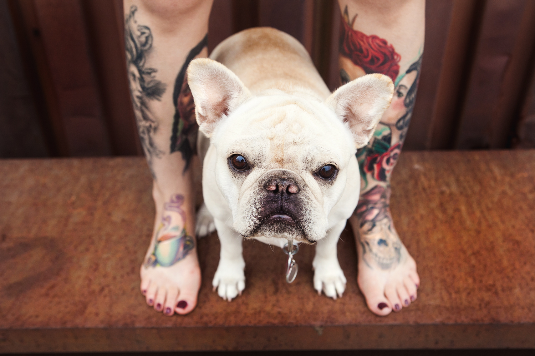 Dogs_with_tattooed_owners_30