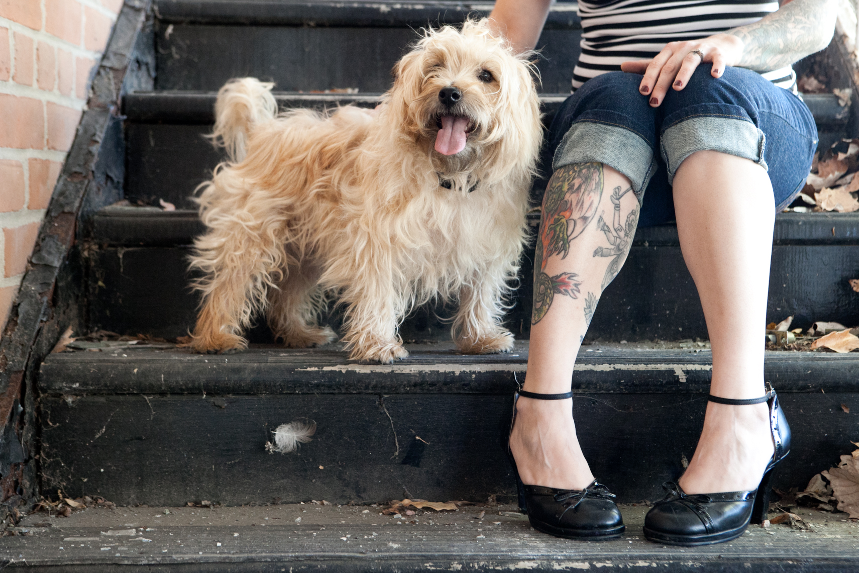 Dogs_with_tattooed_owners_32
