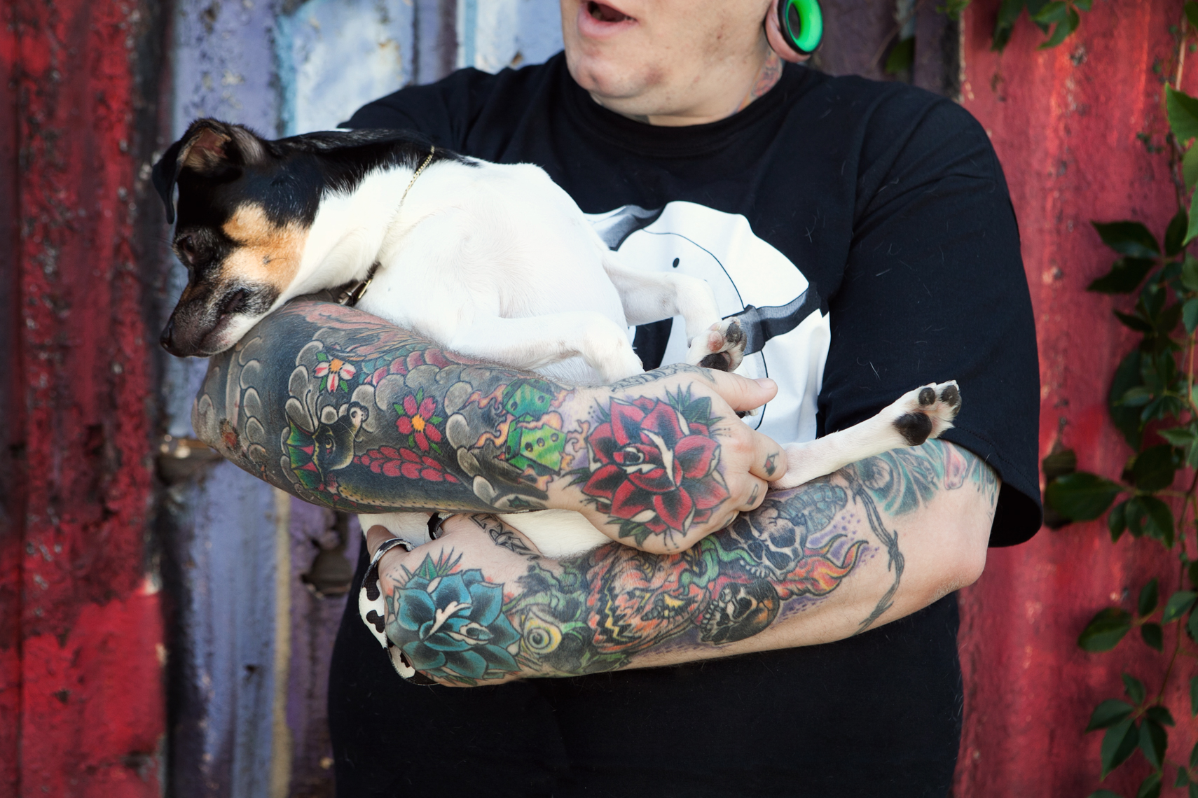 Dogs_with_tattooed_owners_36