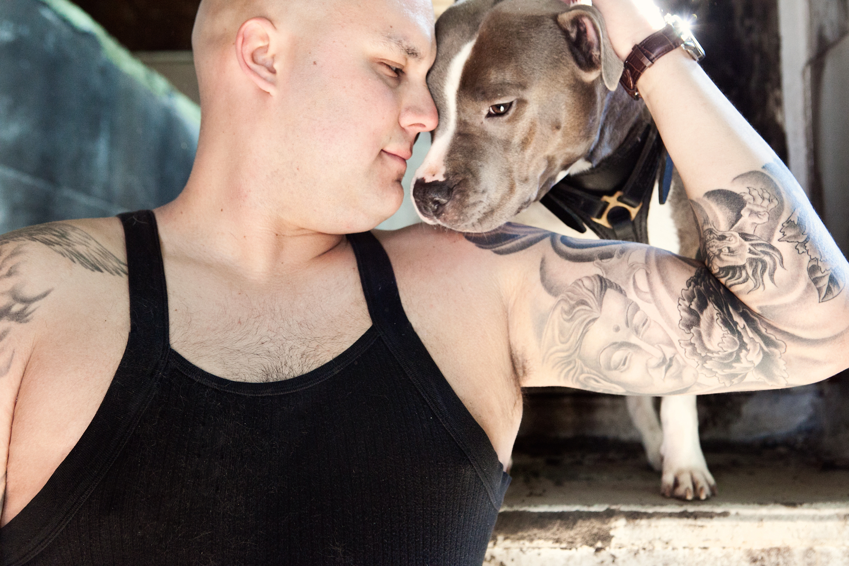 Dogs_with_tattooed_owners_45