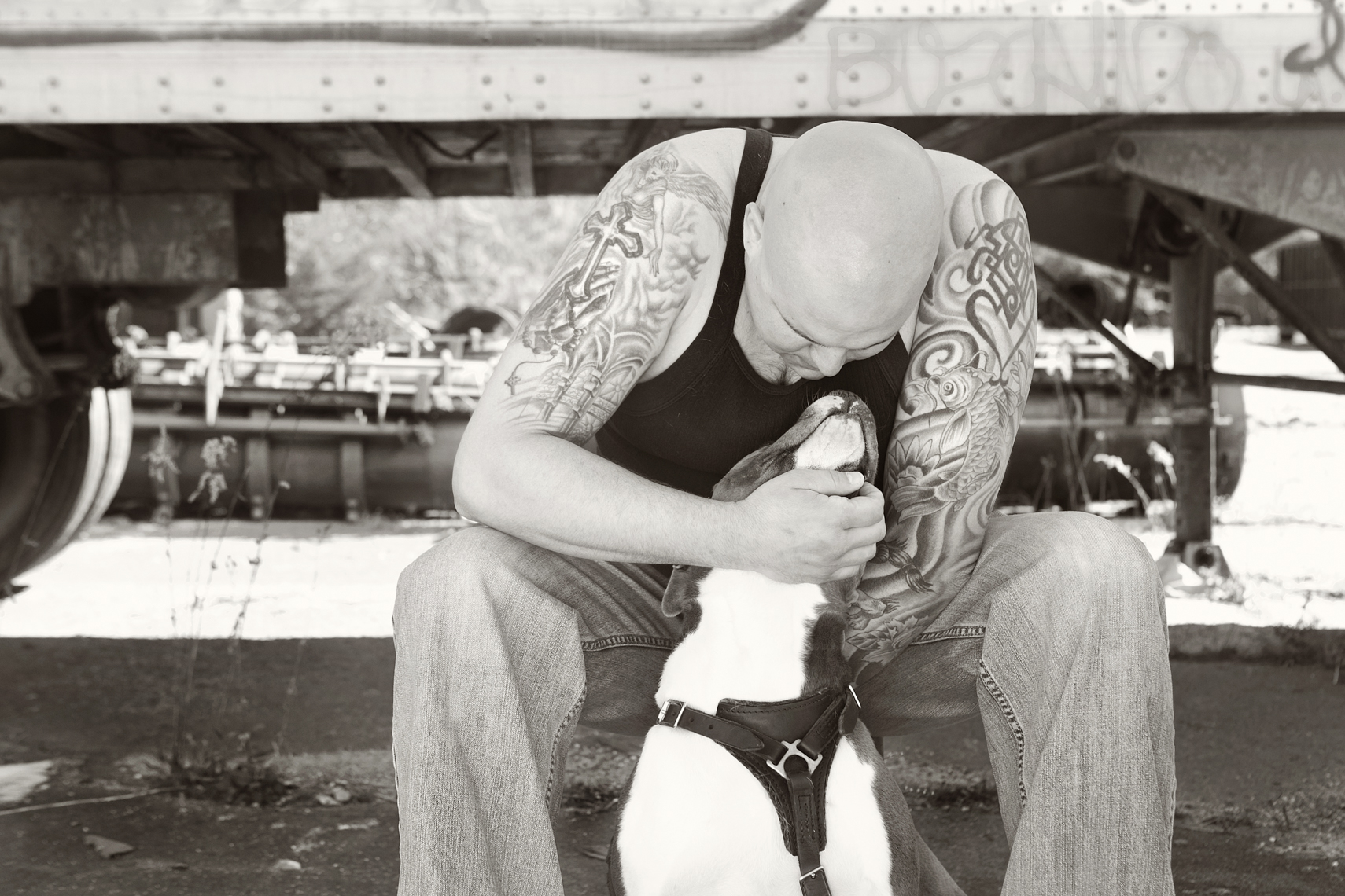 Dogs_with_tattooed_owners_46