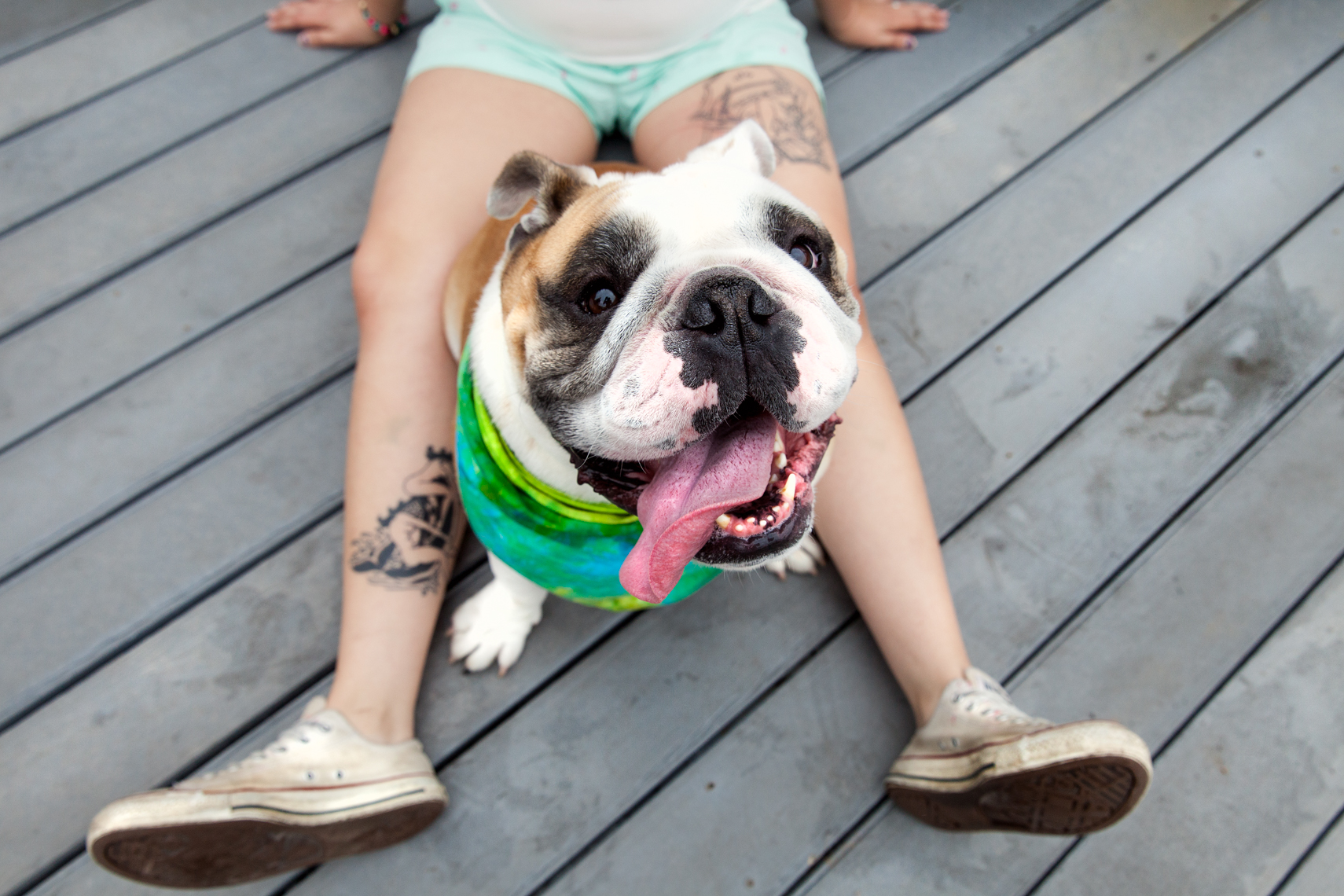 Dogs_with_tattooed_owners_49